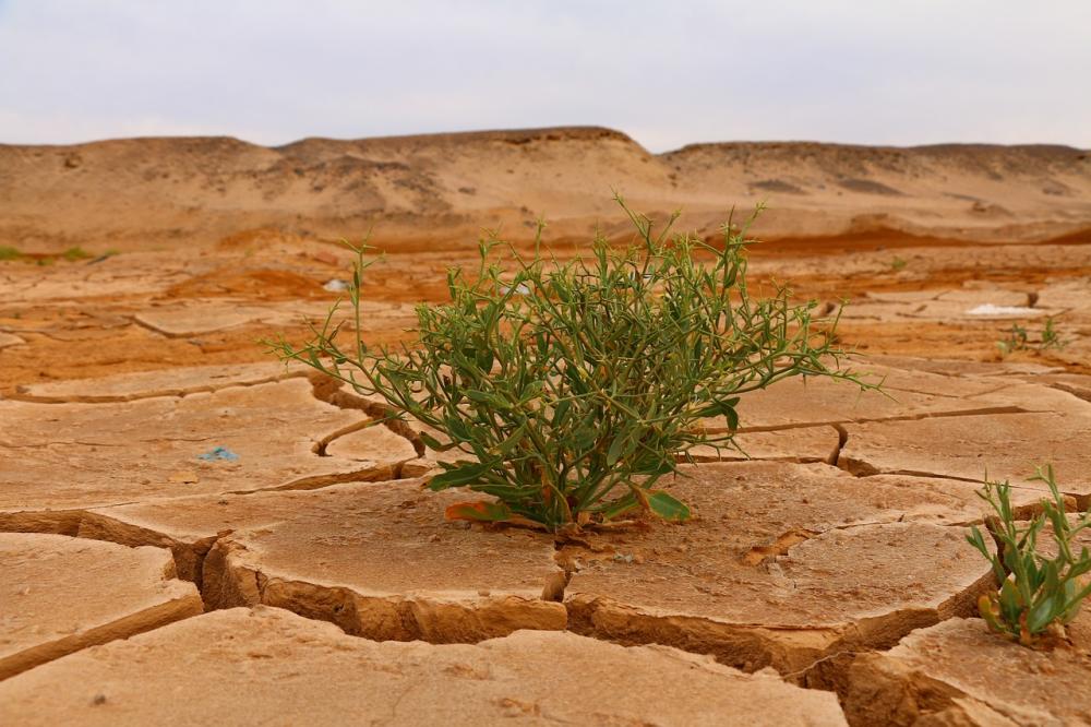 "Climate change? Nei prossimi 25 anni attesi 14,5 milioni di morti"